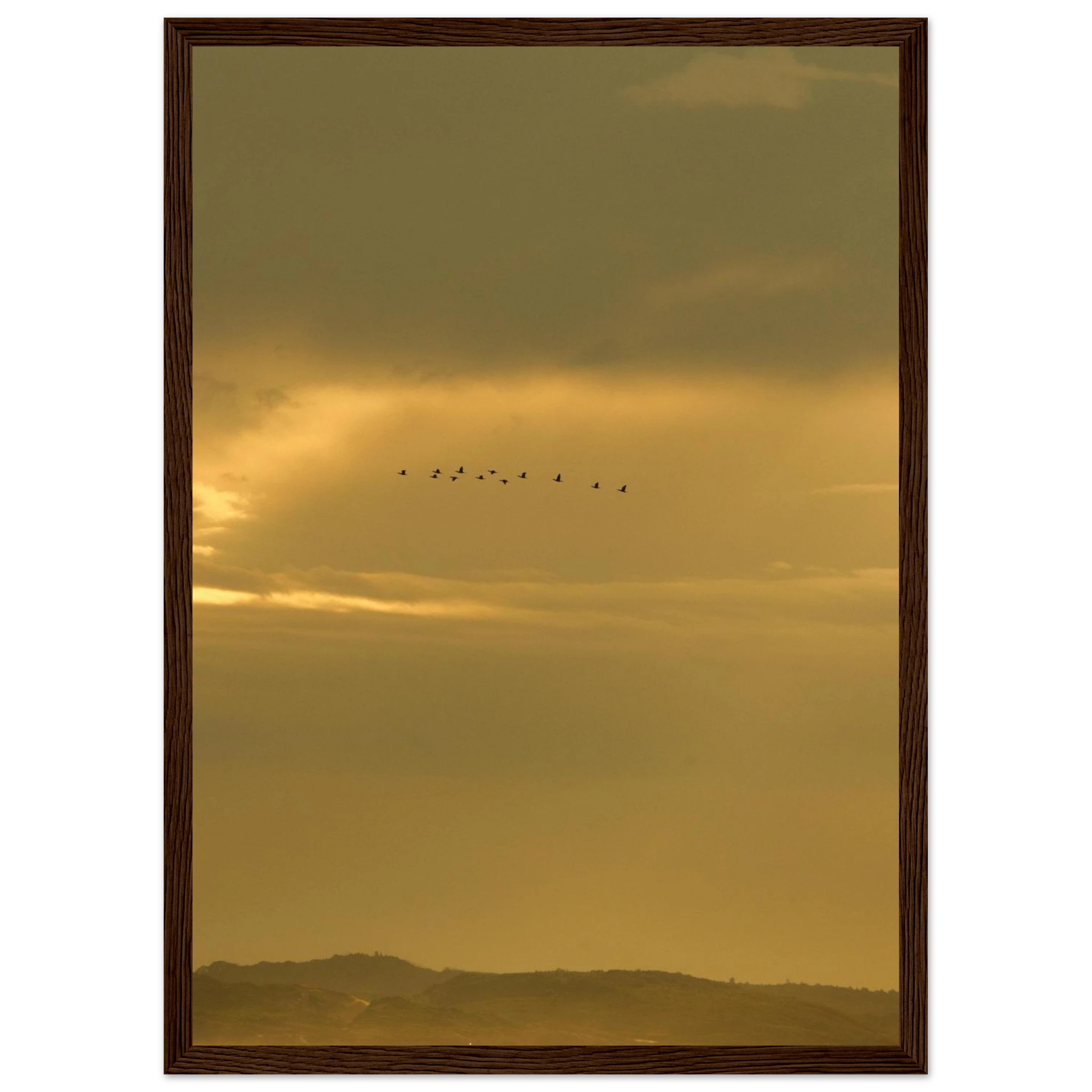 9ce1dcb5-02d2-4837-af20-07897d5f68bf