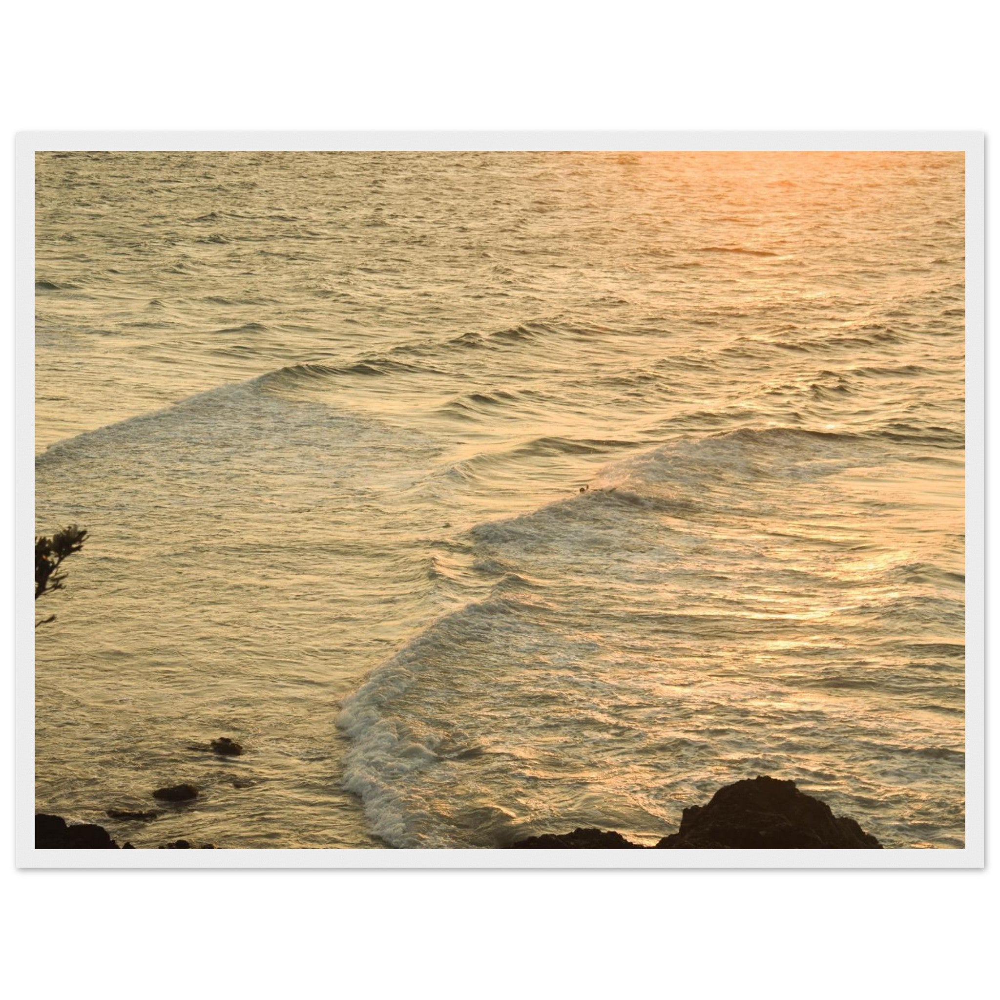 a2cd405d-9d25-4bb9-8355-e48ce4492988