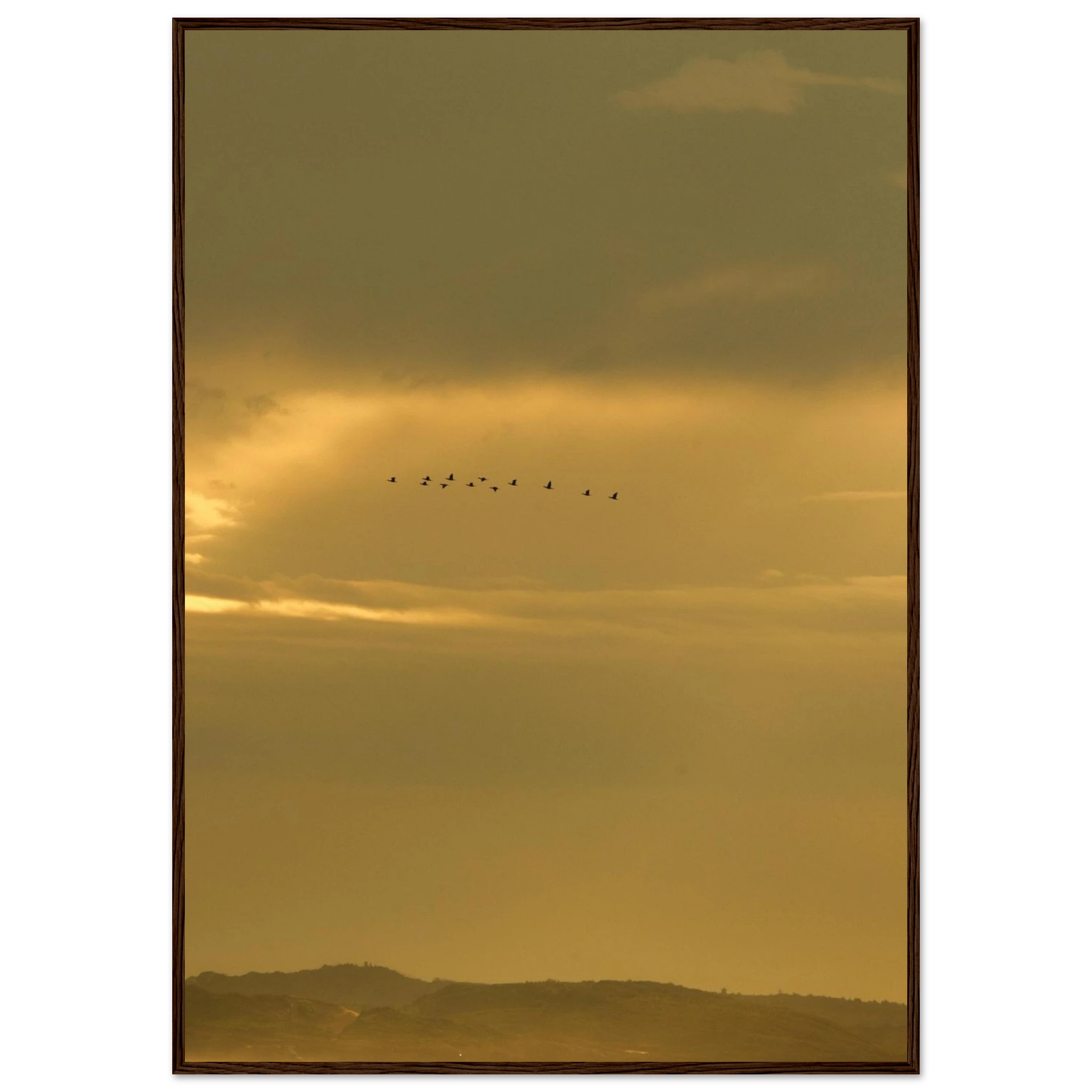 a667bc11-977d-40c4-a7fe-b60d0c5341ae
