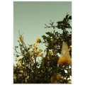 adfb4741-e118-4967-b679-3b9f114d15c7