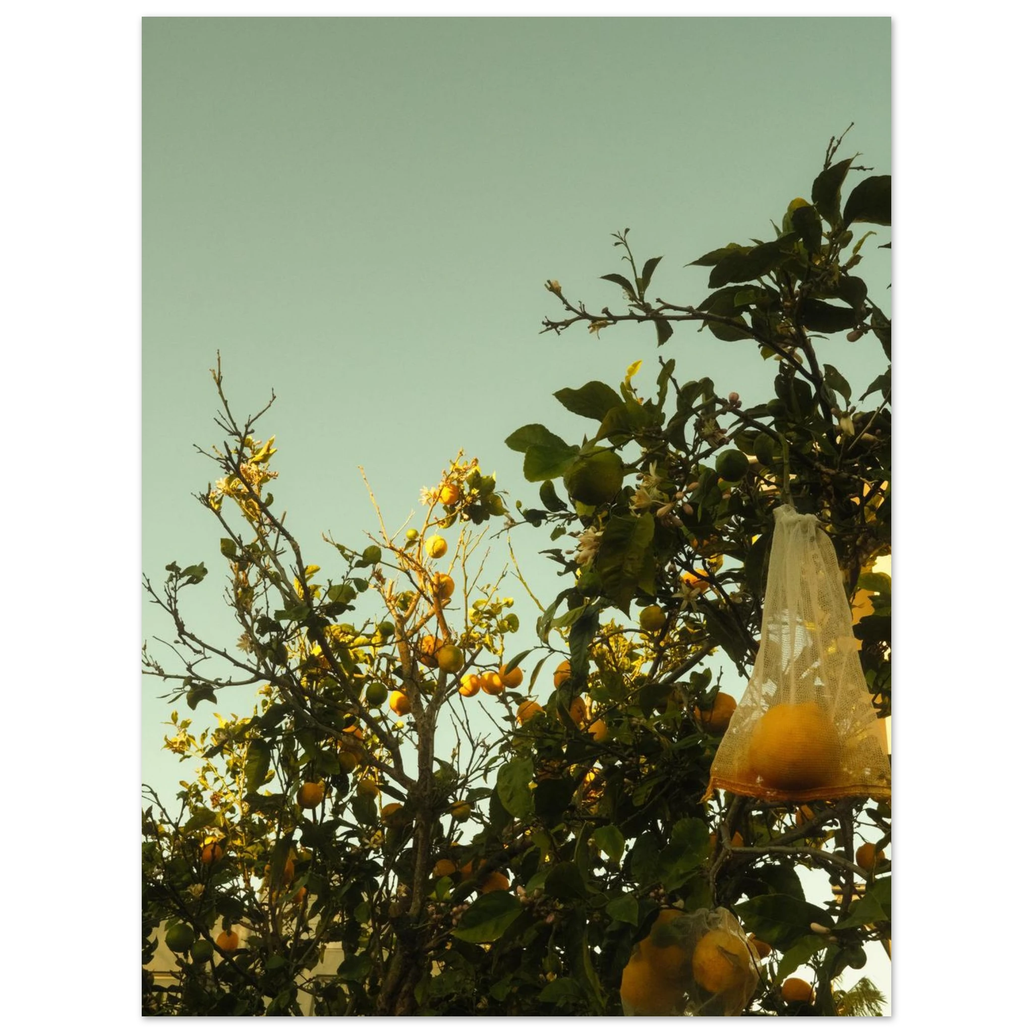 b4393479-4d29-494a-bf6a-949efccd746e