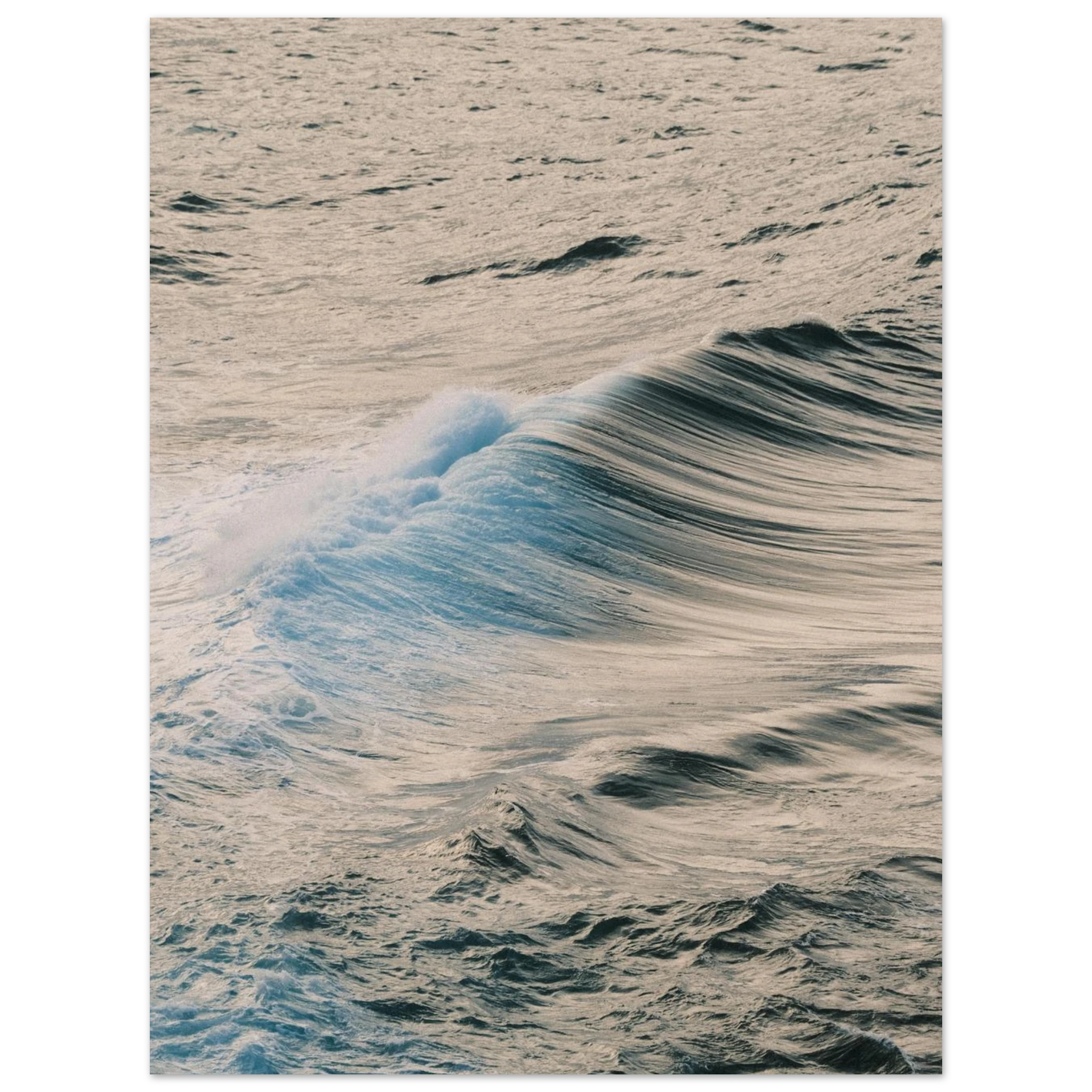 b6752312-bb94-4ae8-9706-e6f4f4c2fc4f