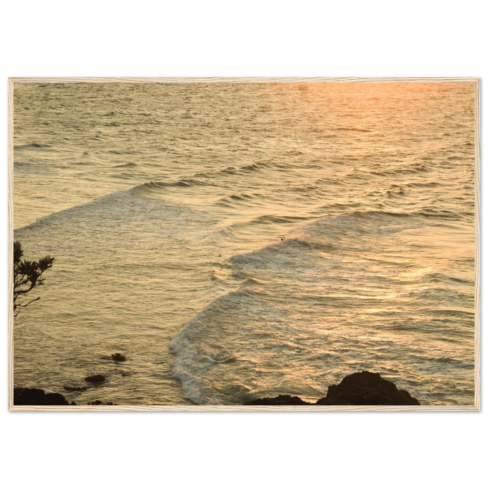 c4272ac7-f560-4e31-862b-5005ecead446
