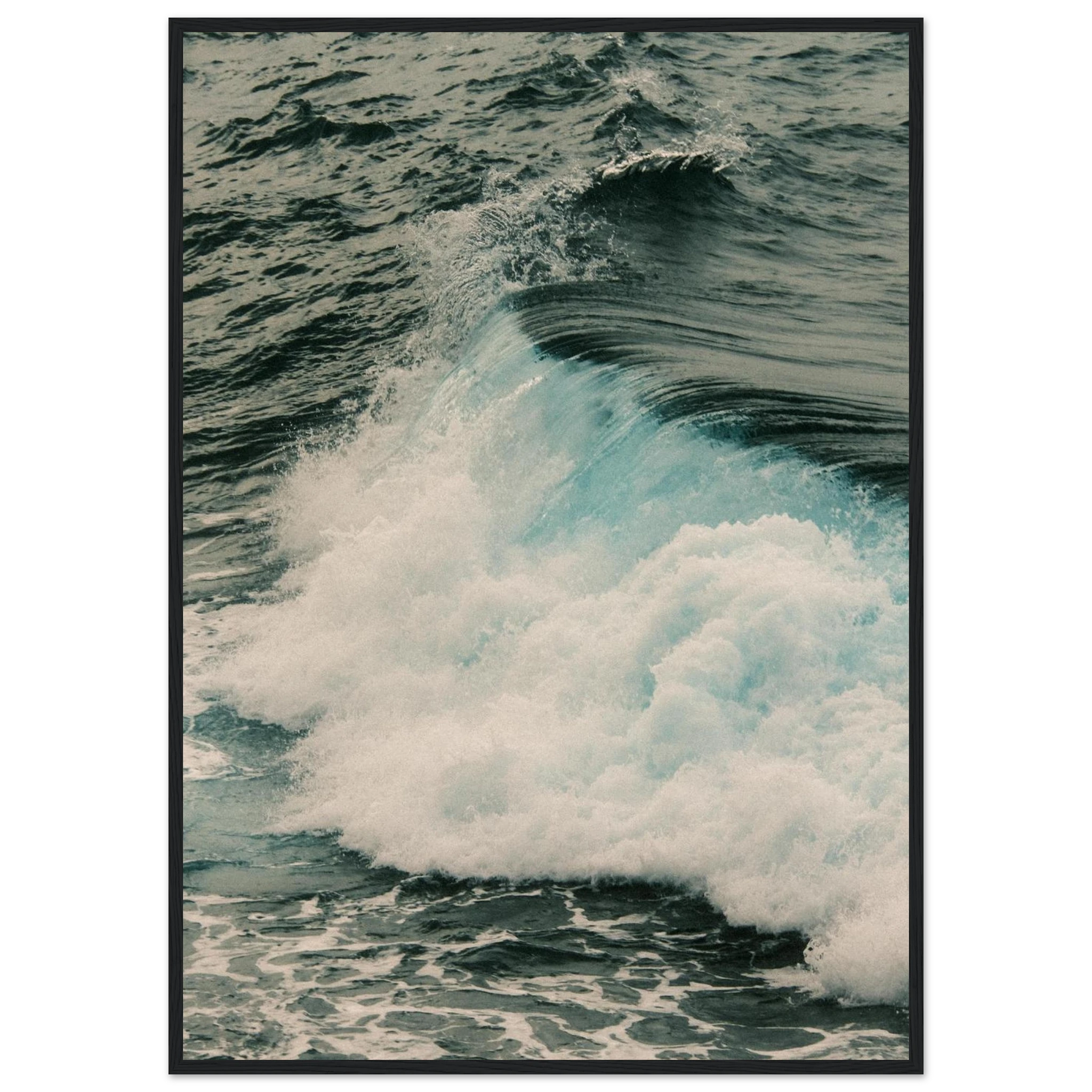 c709329d-7e7b-4ade-9a4e-cefff6e0f309