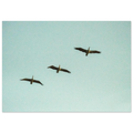 c8581255-a25b-4408-9191-2eaaf5848172