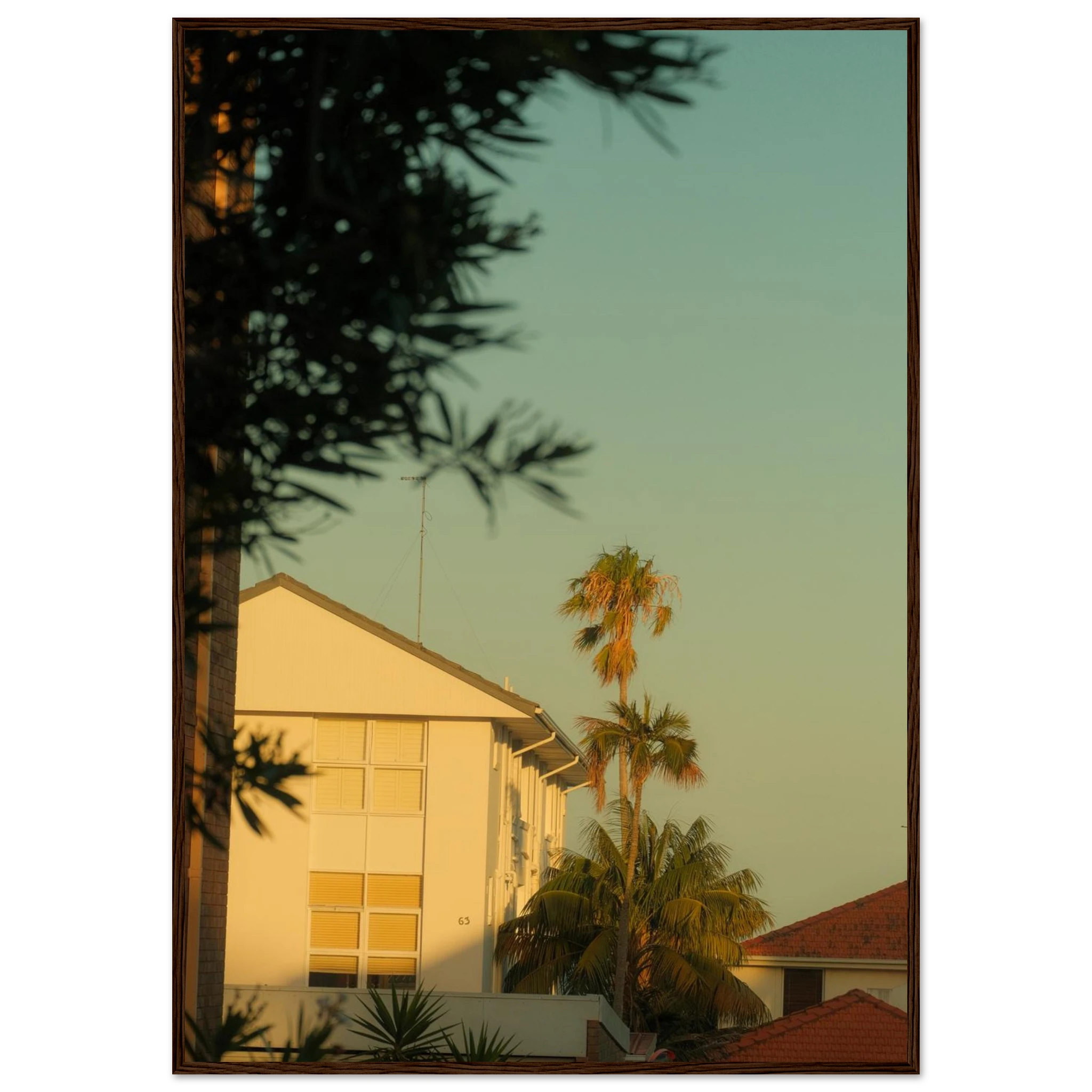 d0202ea5-3371-48be-adc3-f9d5b6798235