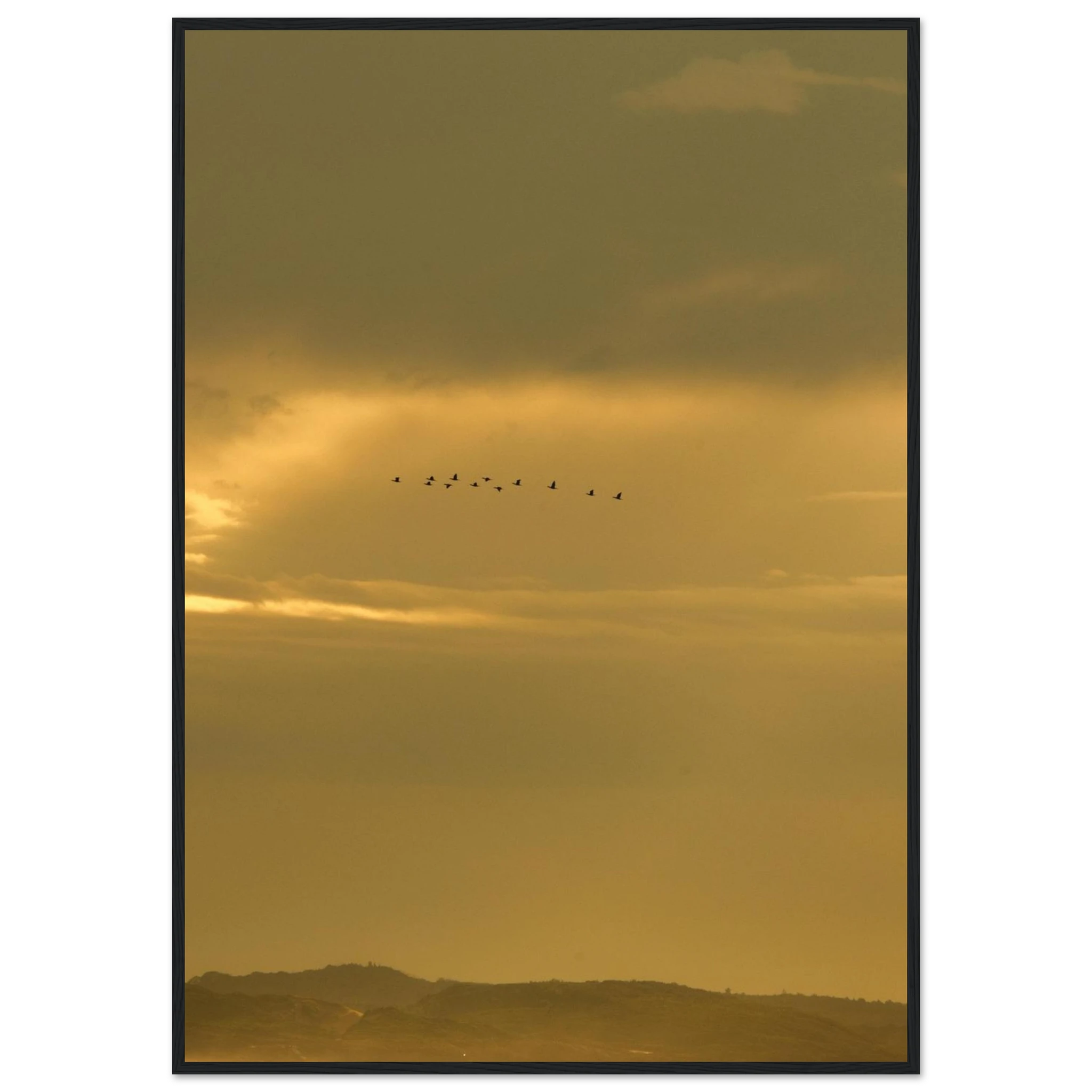 d2ed9631-b924-4f72-a831-f0c60b65d60b