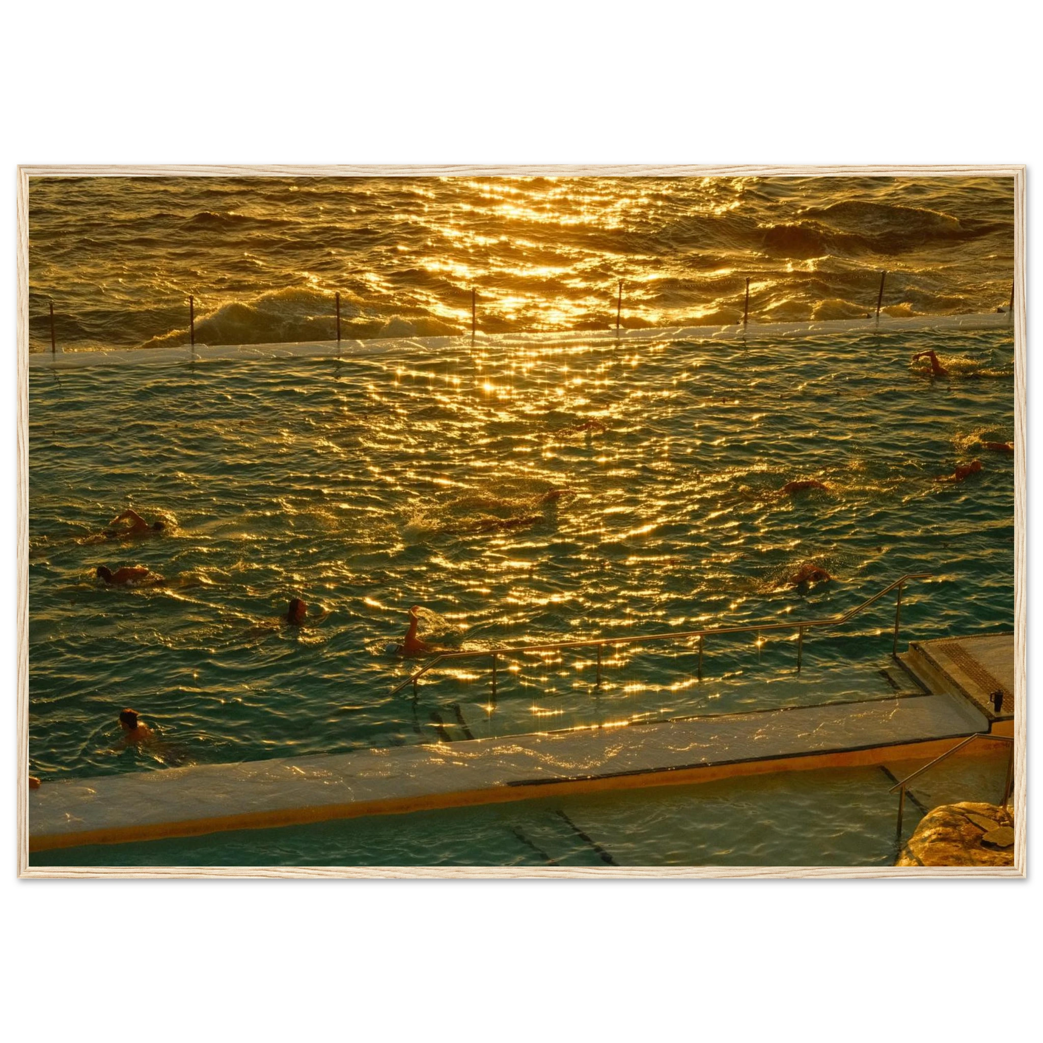 d43ad2b5-1f7a-4f9d-91d8-07f03955253b