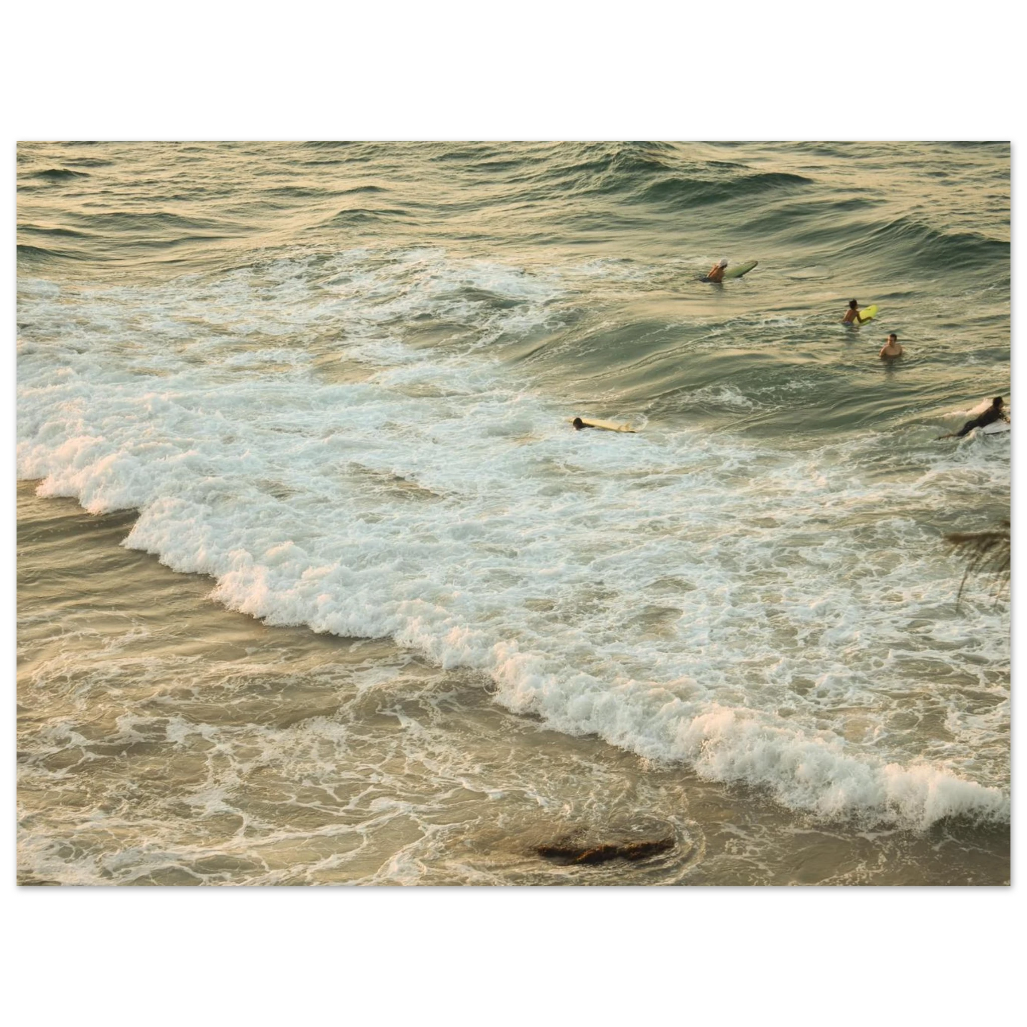 d4bf53fd-3056-421b-8257-a4f3a2fa5089