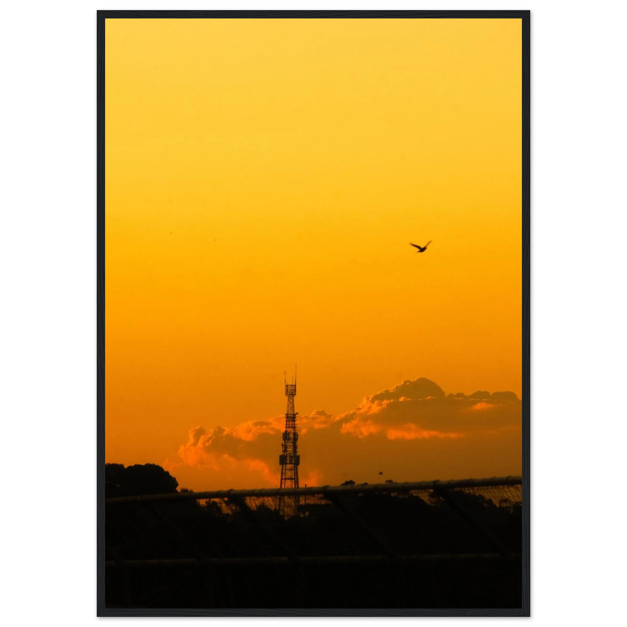 d65521f8-9ce2-49c8-b03b-0a7716ab6353