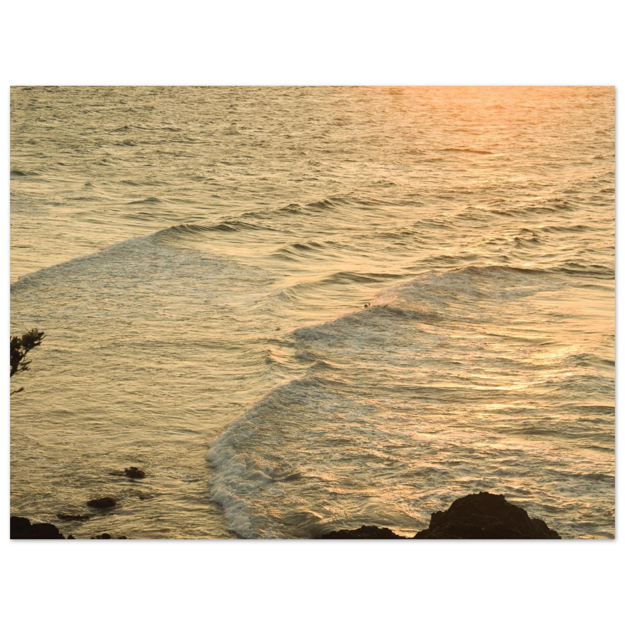 d6a7ff7c-640e-4b69-aaa8-a9fc7ce388bc