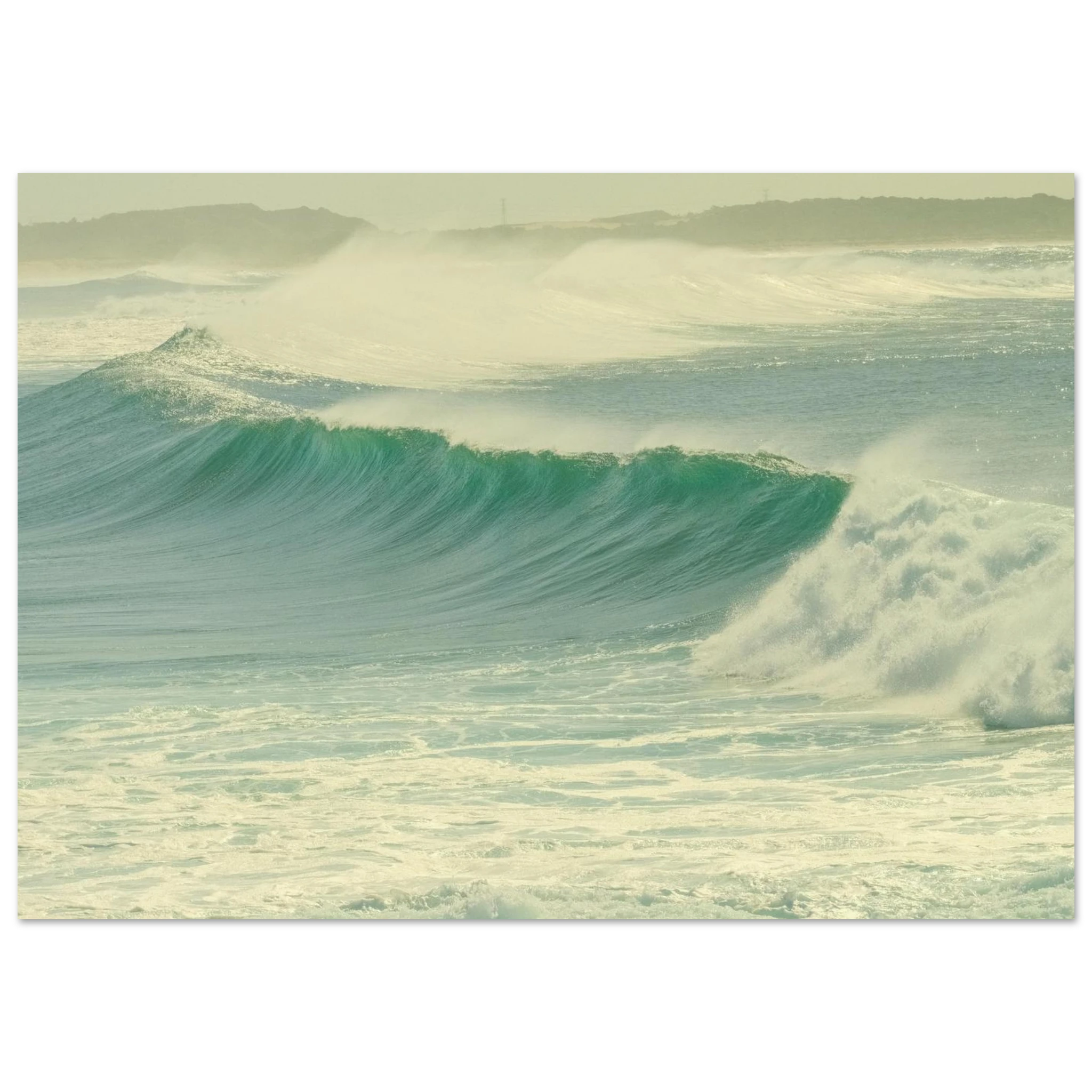 d74b2acc-bf7c-46d8-8af6-a1ef34db0786