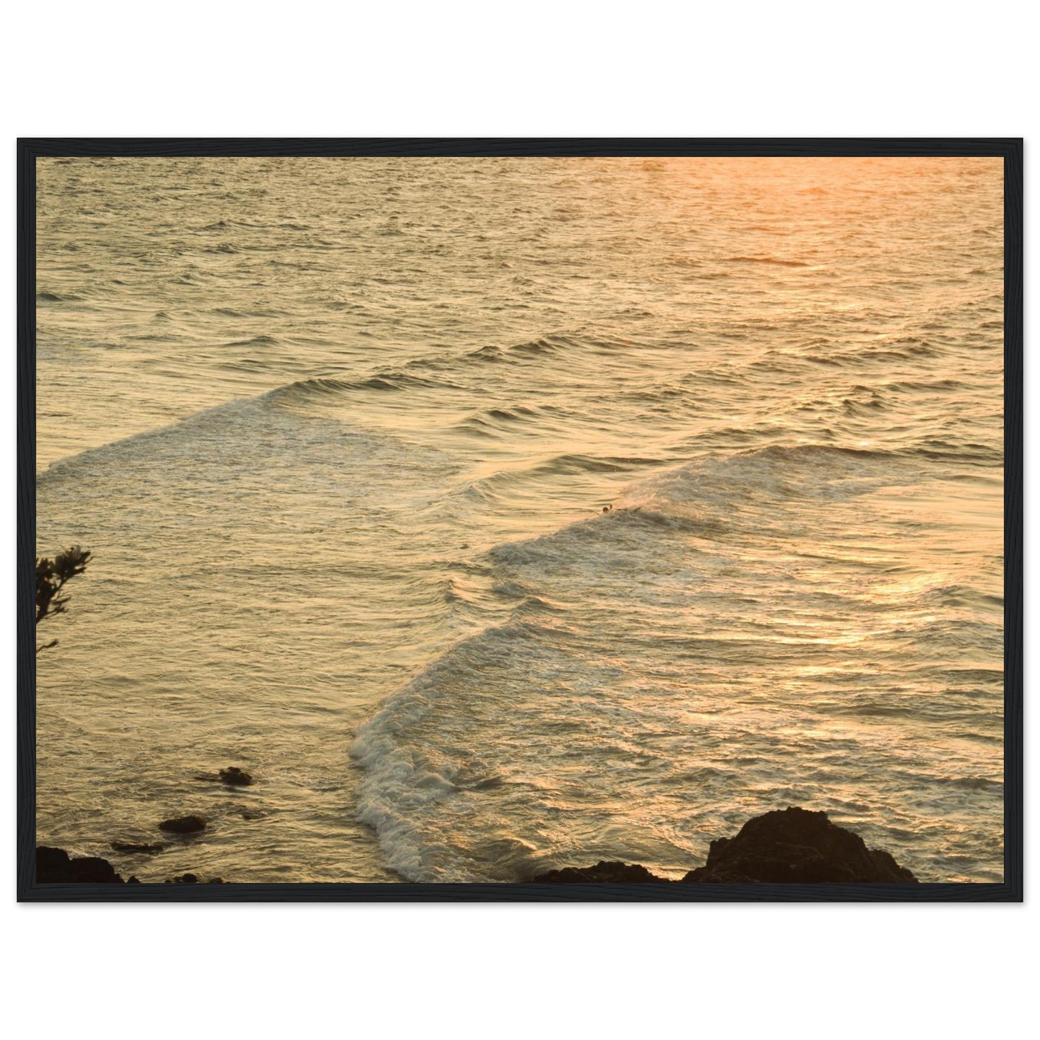 d819dc24-bbb7-4726-81db-f7614dbb318b