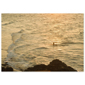 df6a1484-c6bd-4f1e-8899-bf9b1622da7b
