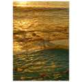 eb637510-b826-45c3-9665-e73405c981b6