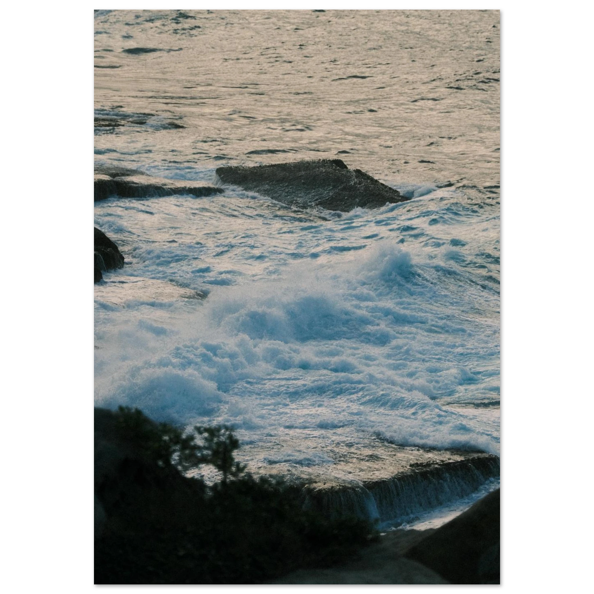 ed2558d8-634d-4ee9-a474-a22ea111782b
