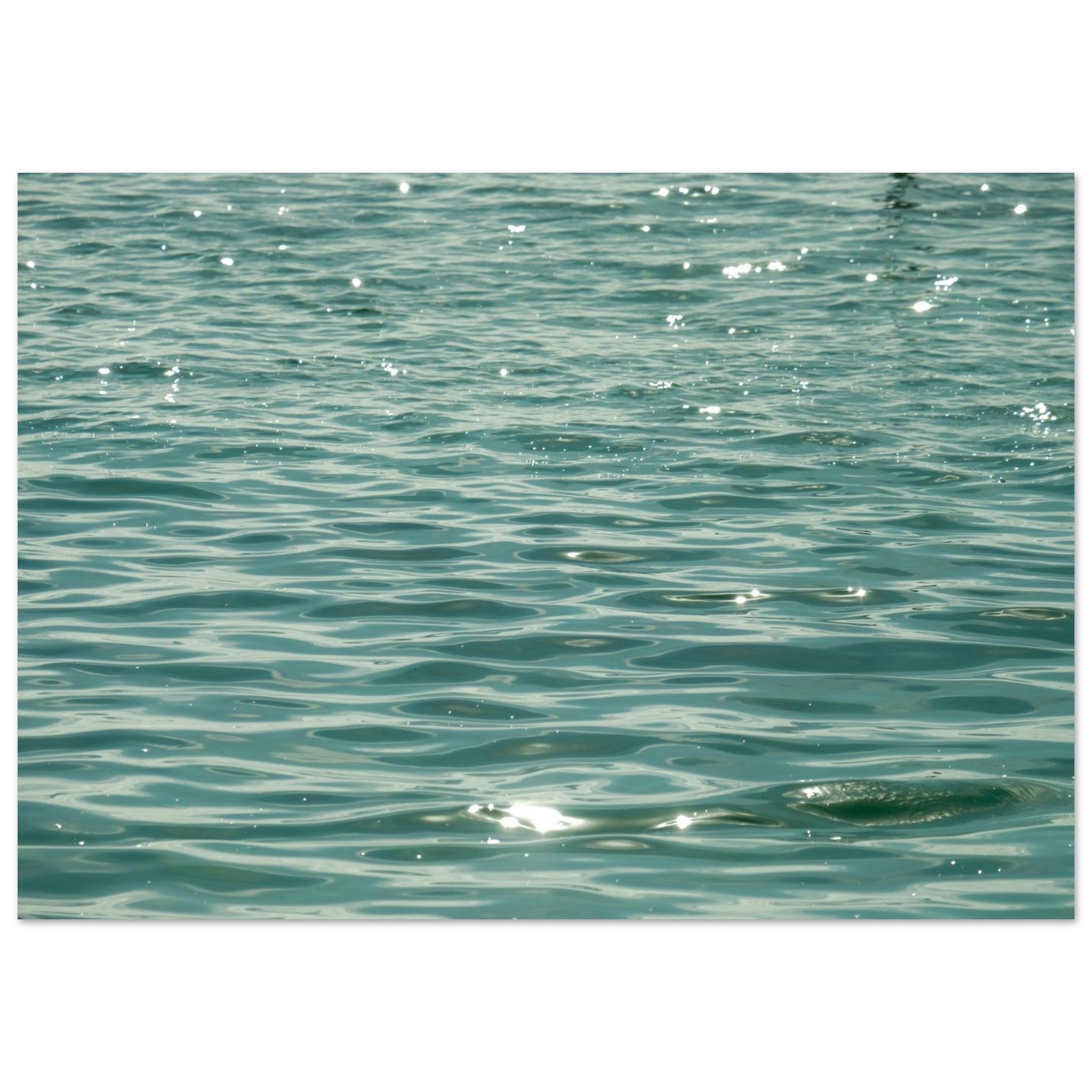 f0d74479-803e-4178-b277-36058fce0321