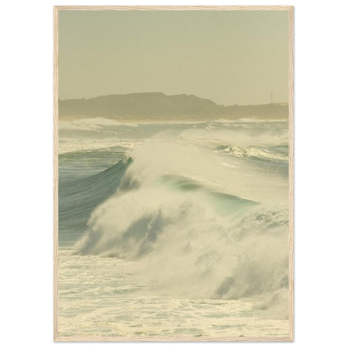 fc54950f-ca30-4fc8-b978-be51d44c8357