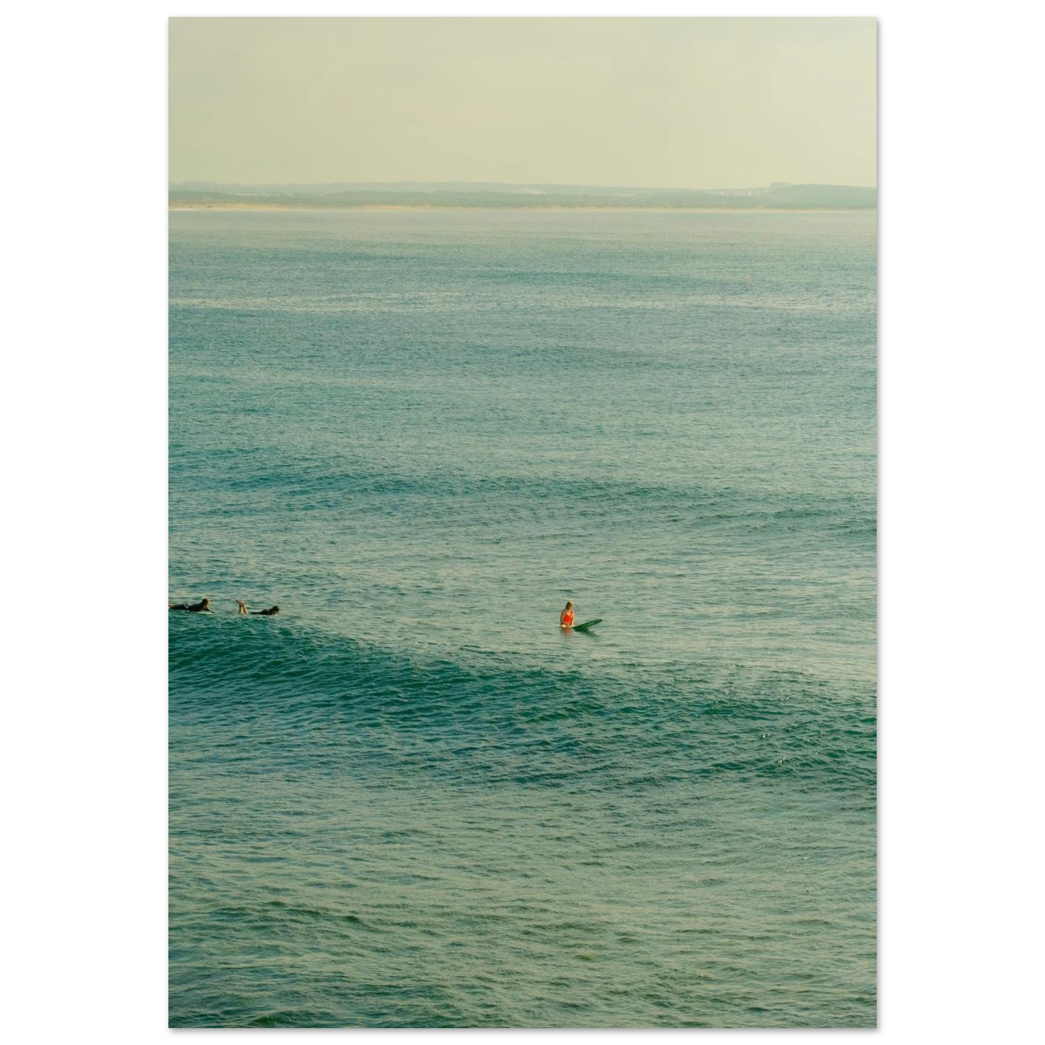 fd306c11-1478-443f-b1d3-be06560fb97f