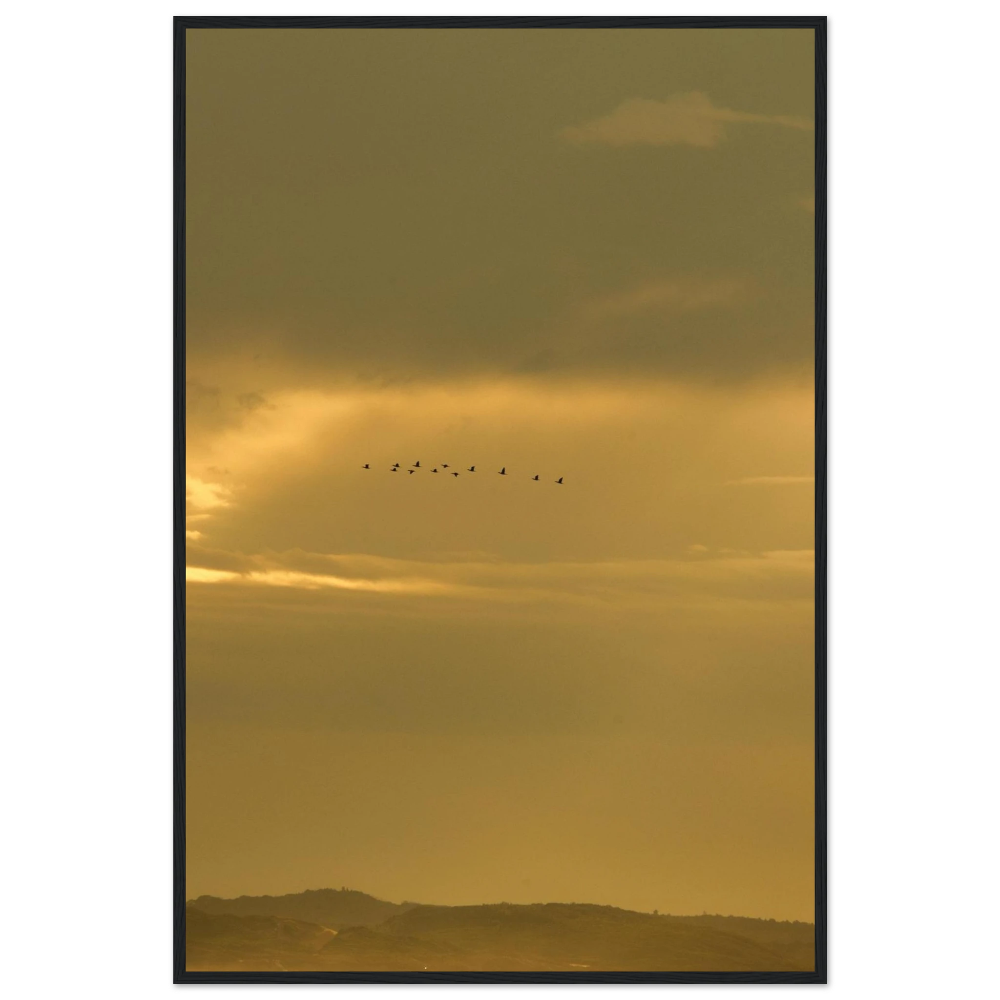 fdd08ffa-e72b-429e-ad91-3fd4ef8369dc