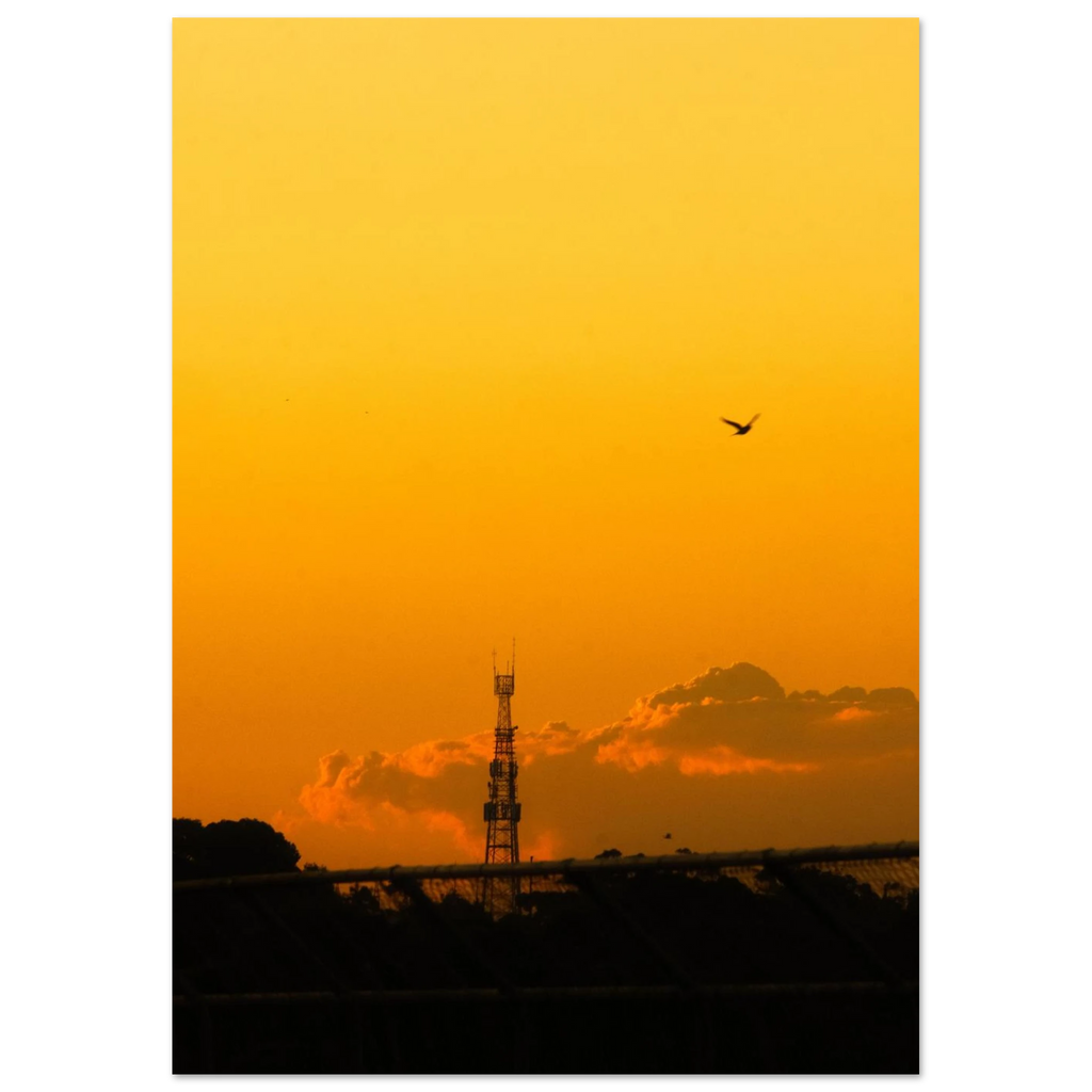 fe121950-777b-4a7b-8ac1-0c62c85e8cce